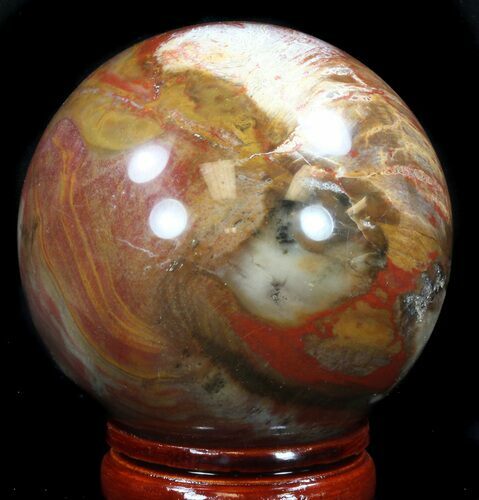 Colorful Petrified Wood Sphere #36961